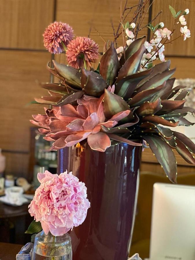 רימיני Hotel Spring מראה חיצוני תמונה